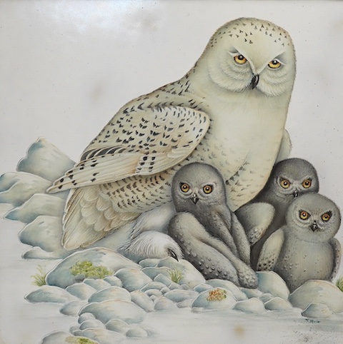 F. Minter, a painted and framed ‘owl’ porcelain plaque, 32cm sq. including frame. Condition -good, some scuffs to frame